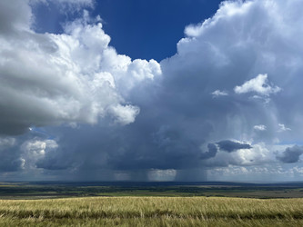 Similar image 22377378