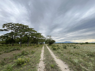 Similar image 22381833