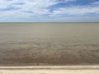 Similar image 22381846