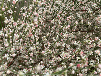 Similar image 22381847