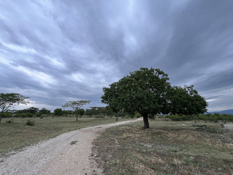 Similar image 22381848