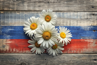 Similar image 22383233