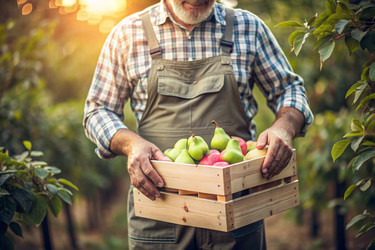 Similar image 22392577