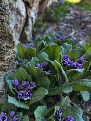 Similar image 22381853