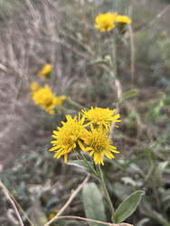 Similar image 22381856