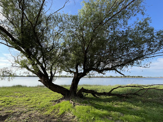 Similar image 22381860