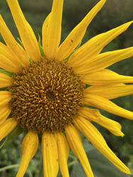 Similar image 22381866