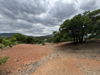 Similar image 22381872