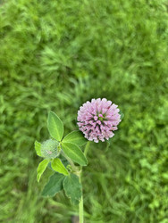 Similar image 22375721