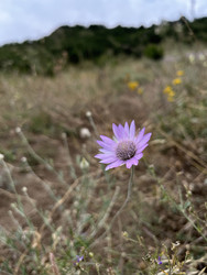 Similar image 22381875