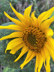 Similar image 22381908