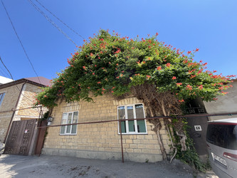 Similar image 22375724