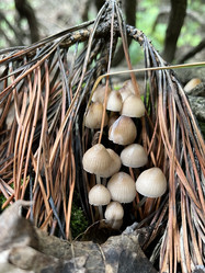 Similar image 22381909