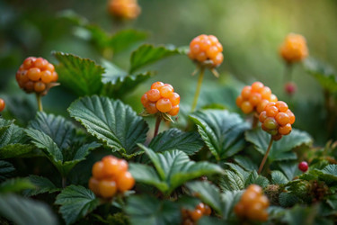 Similar image 22382544