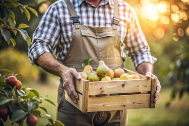 Similar image 22382737