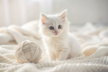 Similar image 22382631