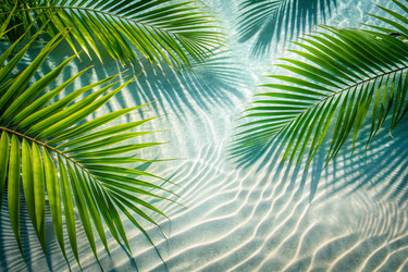 Similar image 22382680