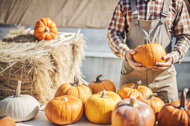 Similar image 22382783