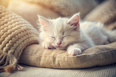 Similar image 22394901