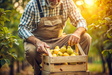 Similar image 22376866