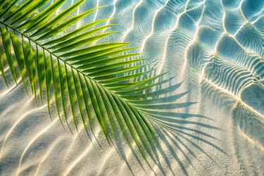 Similar image 22382620