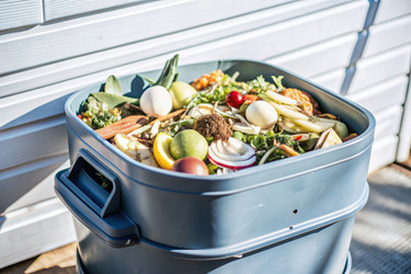 Similar image 22383340