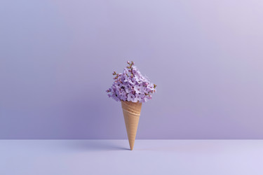 Similar image 22383090