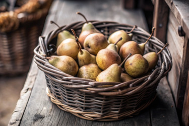 Similar image 22382759