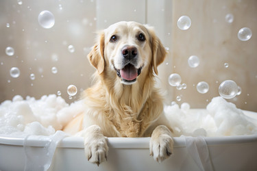 Similar image 22386468