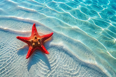 Similar image 22394530