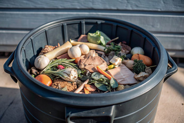 Similar image 22391980