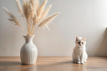 Similar image 22386247