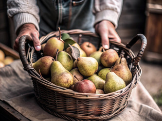 Similar image 22392309