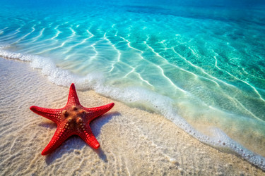 Similar image 22393636