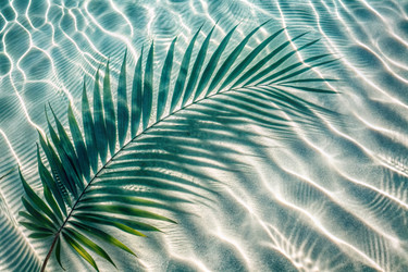 Similar image 22386474