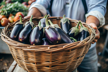 Similar image 22388645