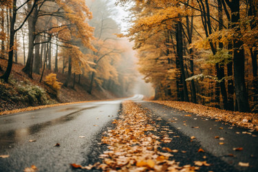 Similar image 22395073