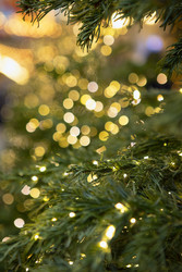 Similar image 22377901