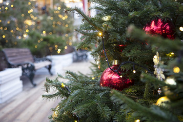 Similar image 22377902