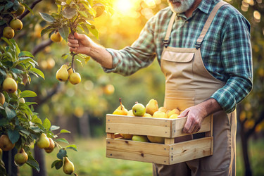 Similar image 22394648