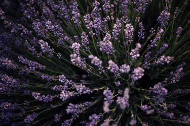 Similar image 22377693