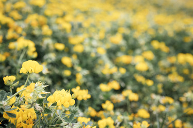 Similar image 22377695