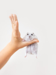 Similar image 22377712