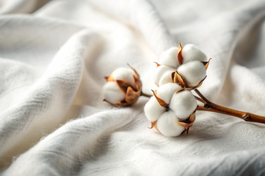 Similar image 22393532