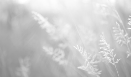 Similar image 22377743