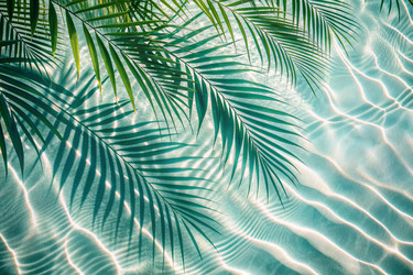 Similar image 22390041