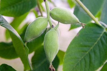 Similar image 22377388