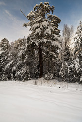 Similar image 22377389