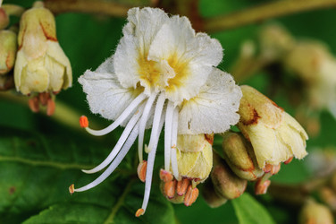 Similar image 22377391