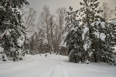 Similar image 22377392